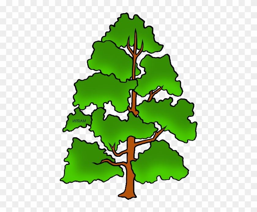 Free United States Clip Art By Phillip Martin, State - Phillip Martin Clipart Tree #1093351