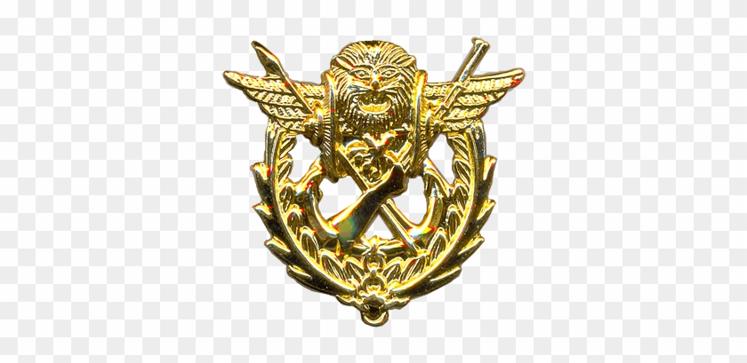 2010 Beret Badge - Badge #1093391