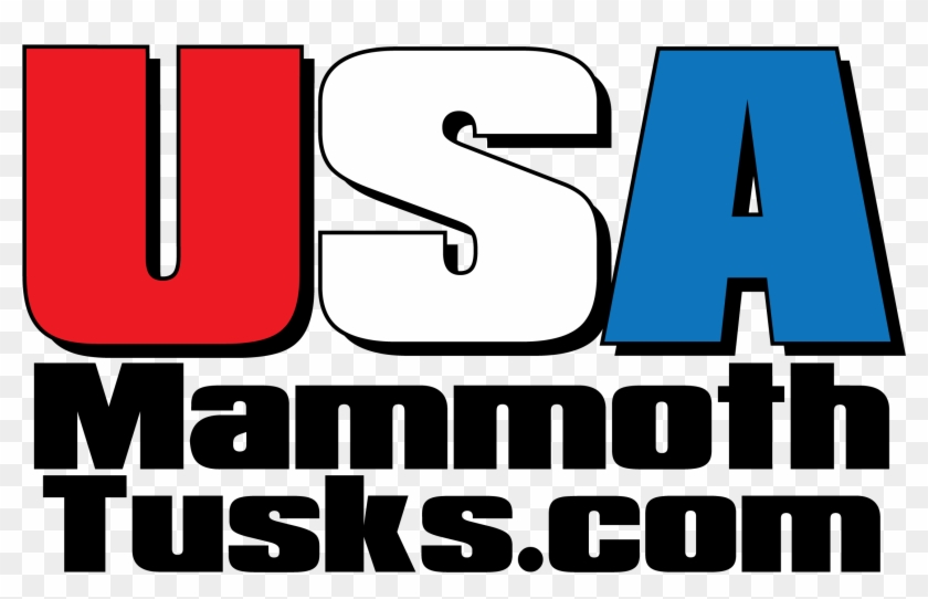 #18 Mammoth Tusk Usa Mammoth Tusks - #18 Mammoth Tusk Usa Mammoth Tusks #1093702