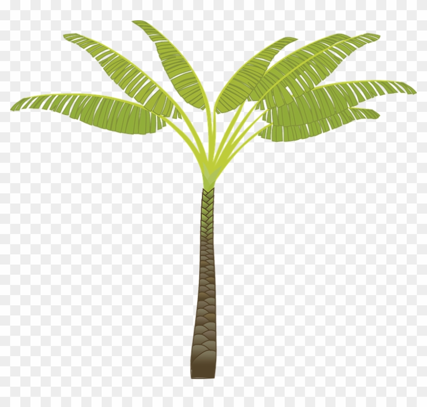 Banana Tree Drawing 22, Buy Clip Art - Palm Tree Clip Art #1094234