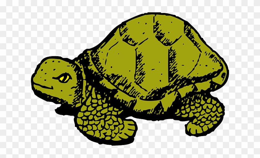 Green, Art, Tortoise, Shell, Slow - Green Turtle Shower Curtain #1094288
