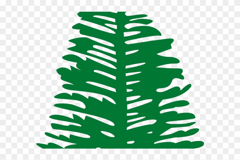 Drawn Fir Tree Norfolk Pine - Flag Of Norfolk Island Tile Coaster #1094362