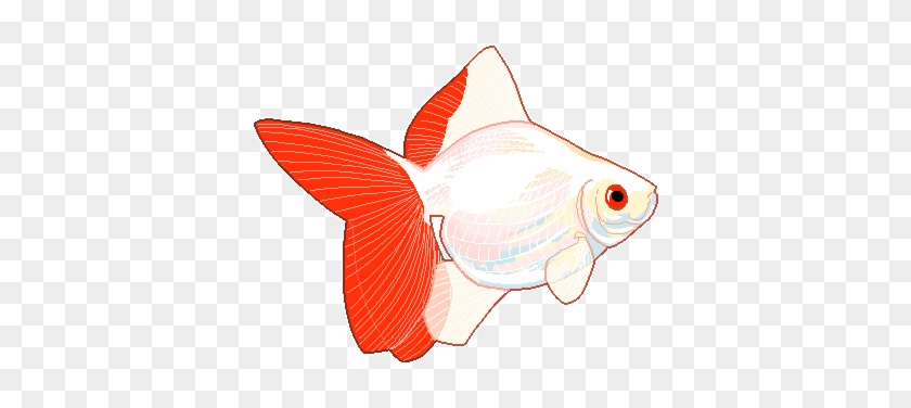 Silhouette Fish Clip Art - Fish Tumblr Transparent #1094487