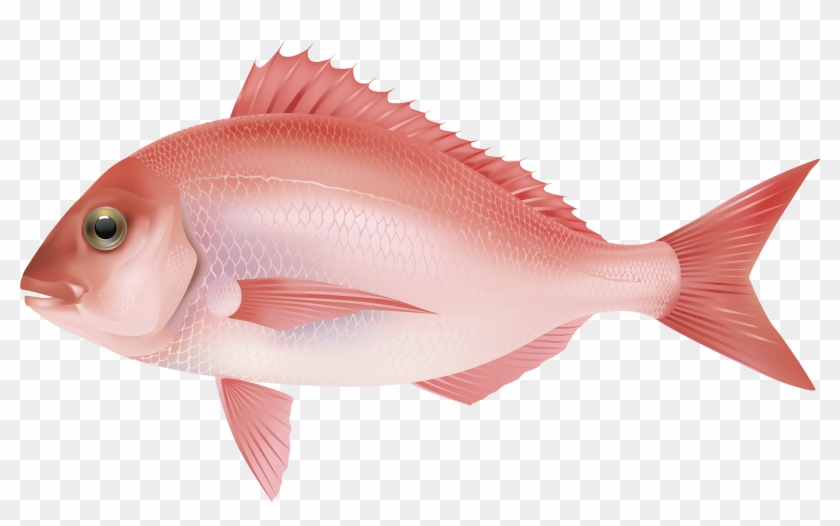 Tropical Fish Clipart Under Sea - Portable Network Graphics #1094495