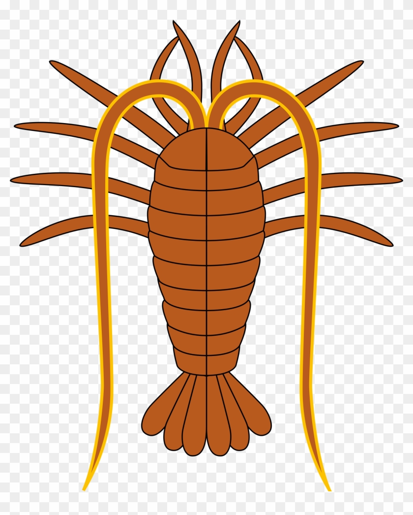 Free Photos > Vector Images > Lobster Vector Clipart - Turks And Caicos Coat Of Arms Throw Blanket #1094552