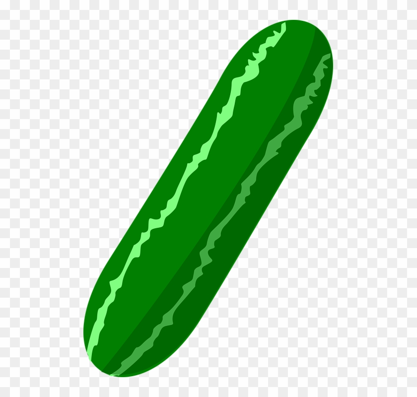 Pickle Clipart Pepino - Cucumber Clipart Png #1094765