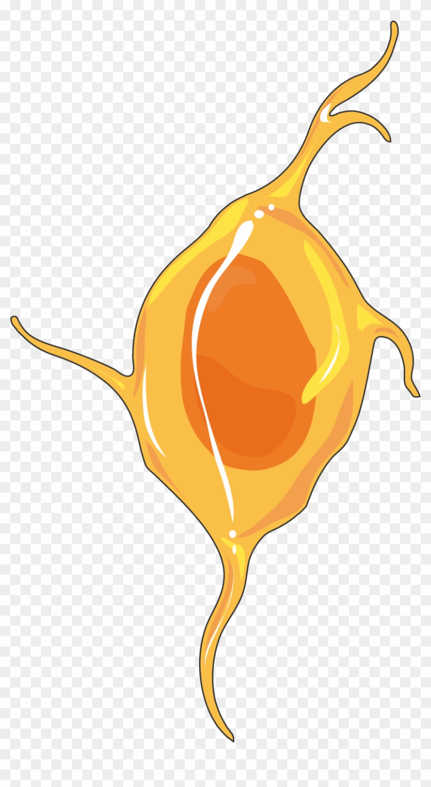 Neurology - Neurology #1094855