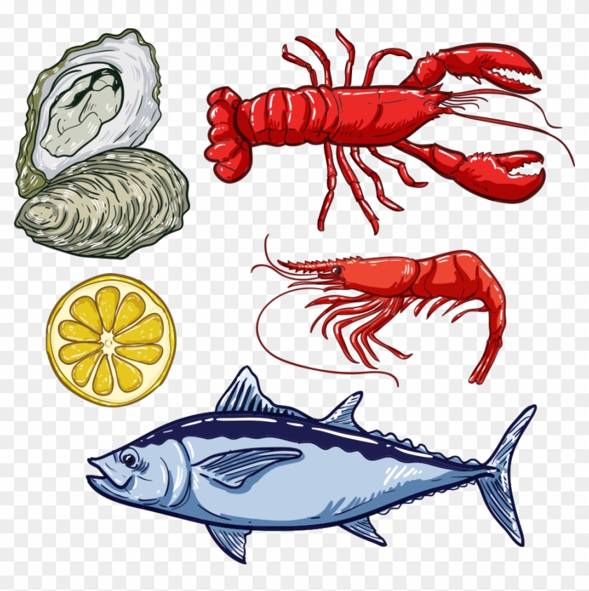 Fish Lobster Seafood Illustration - Portable Network Graphics #1094931