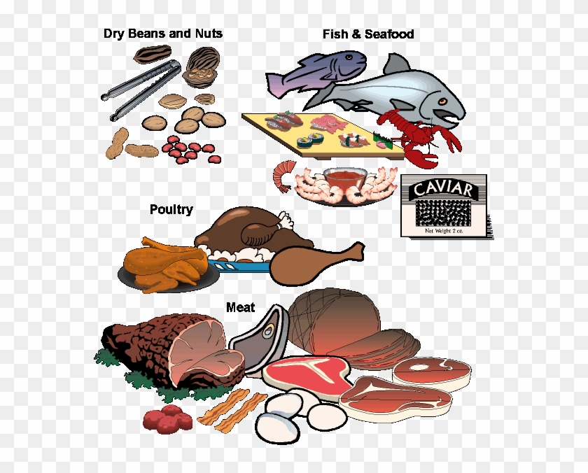 Pictures Of The Food Pyramid, Basic Food Groups, Nutrition - Some Sources Of Protein #1094932