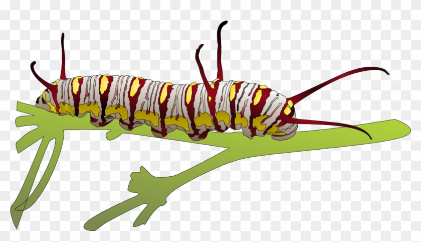 Caterpillar Clipart Transparent Background - Portable Network Graphics #1094960