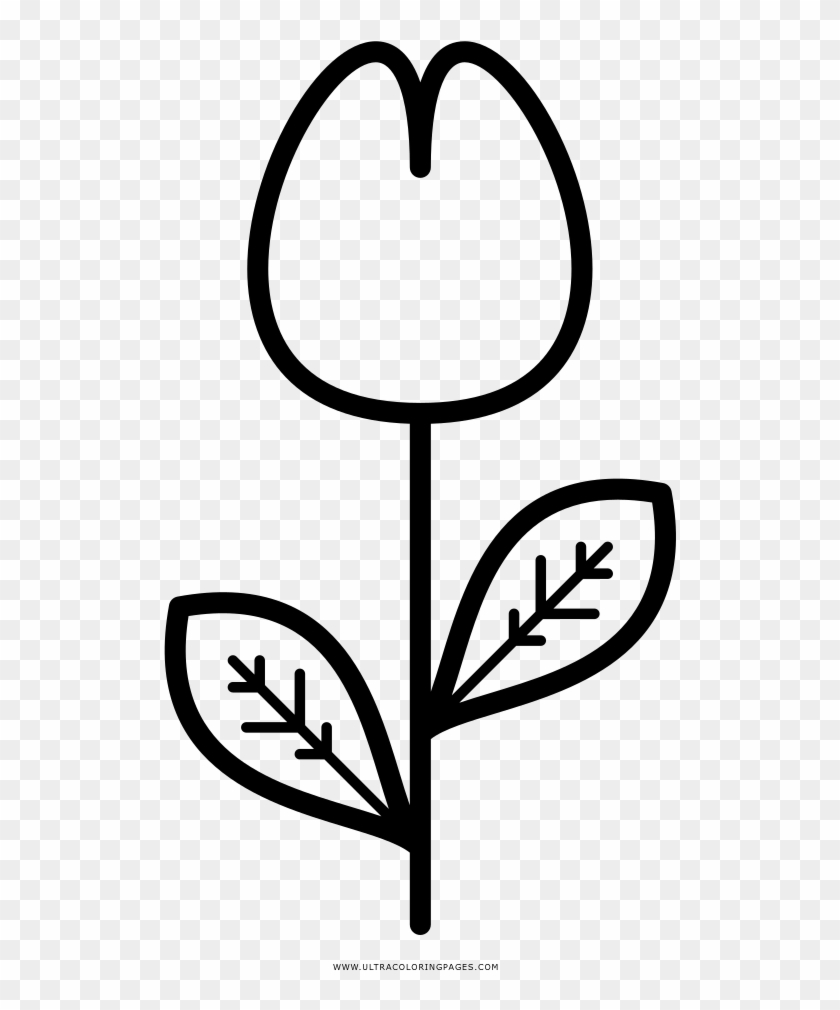 Tulip Coloring Page - Coloring Book #1095044