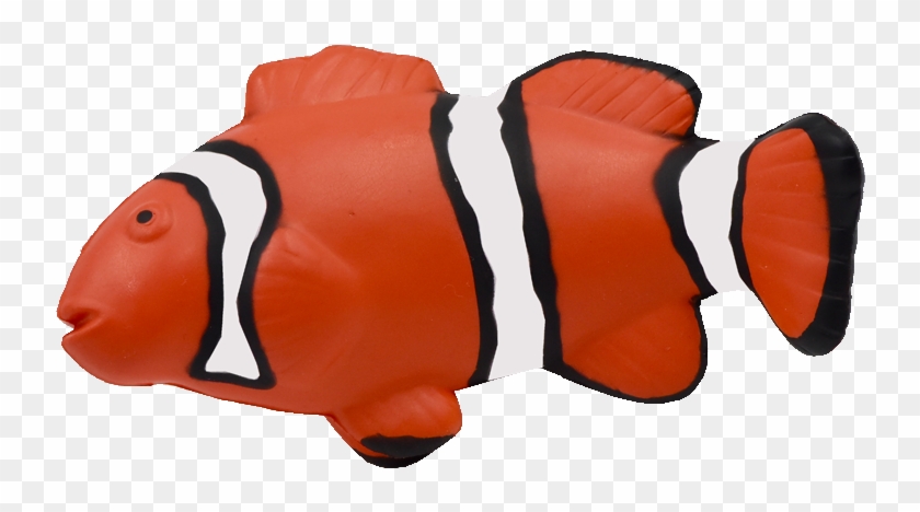 Maf-012 Clown Fish - Coral Reef Fish #1095129