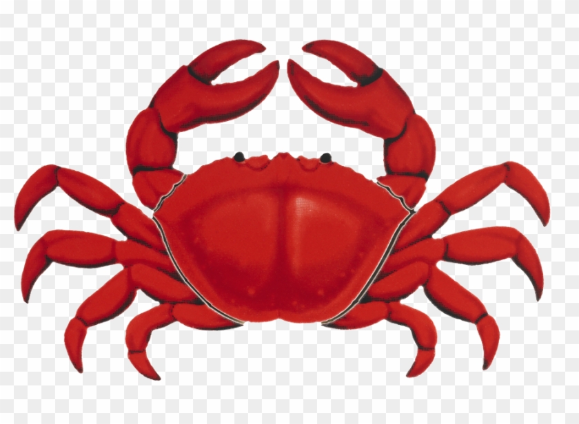 Porc 11 7 7"x5" Red Crab Porcelain Pool Mosaic - Red Crab #1095166