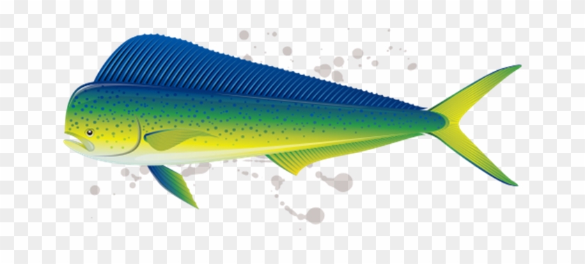 Big Green Sea Fish #1095236