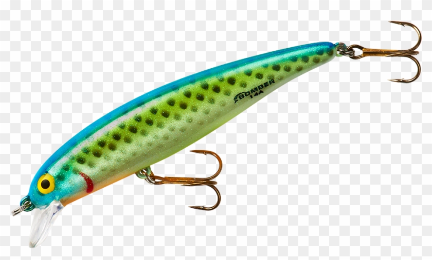 From The Manufacturer - Fishing Lure #1095260