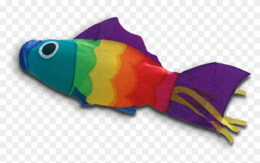 51113 Windsock Rb Fish Poisson Vis - Poisson Arc-en-ciel Manche À Air Didakites #1095277