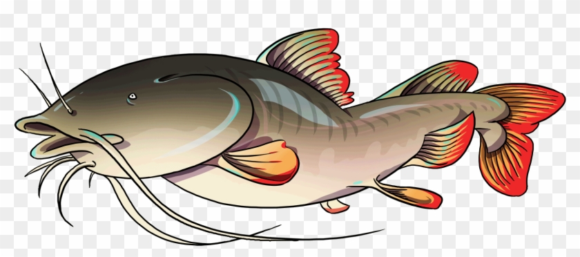 Asian-catfish - Catfish #1095310