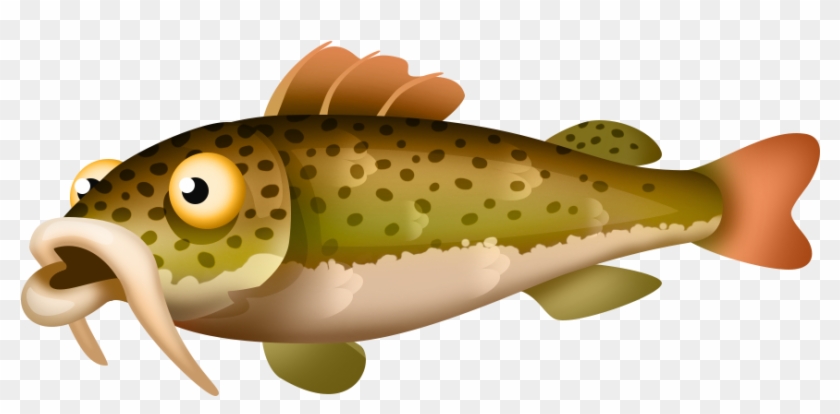 Red-tailed Catfish - Hay Day Catfish #1095313