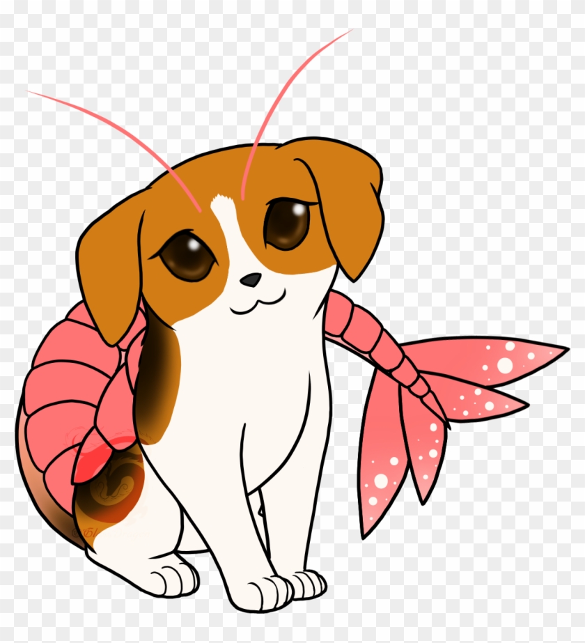 Shrimp-puppy - Dog Breed #1095807
