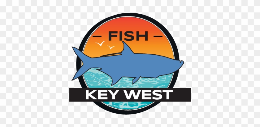 Key West Fishing Trips - Key West #1095850