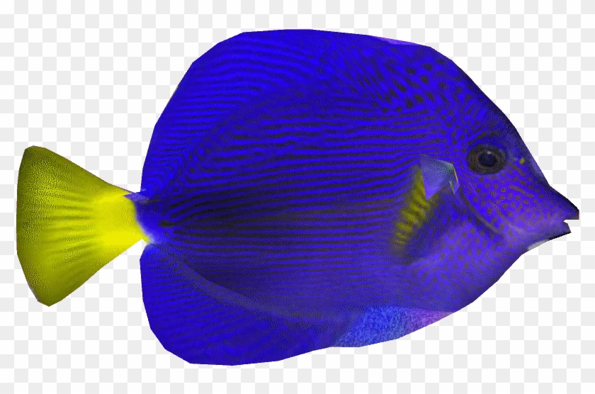 Purpletangdd - Wiki #1096015