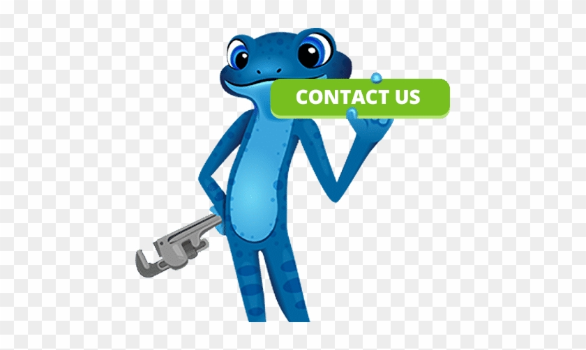 Blue Frog Contact Us - Bluefrog Plumbing #1096261