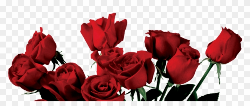 Rose Clipart Png Tumblr Pencil And In Color Rose Clipart - Global Gallery 'bouquet' By Jenny Thomlinson Painting #1096368