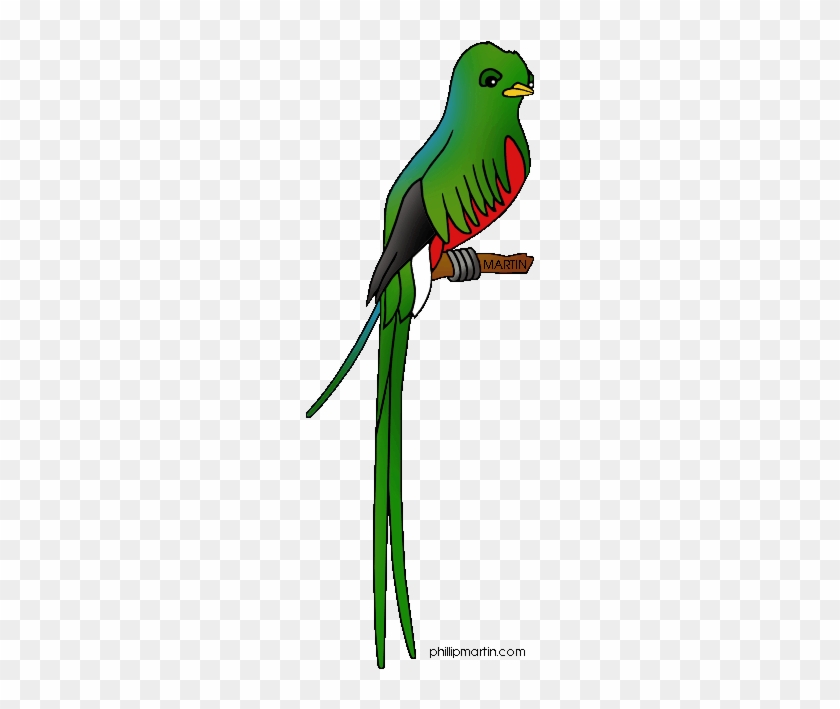 Pets Clipart Pet Bird - Clip Art #1096425