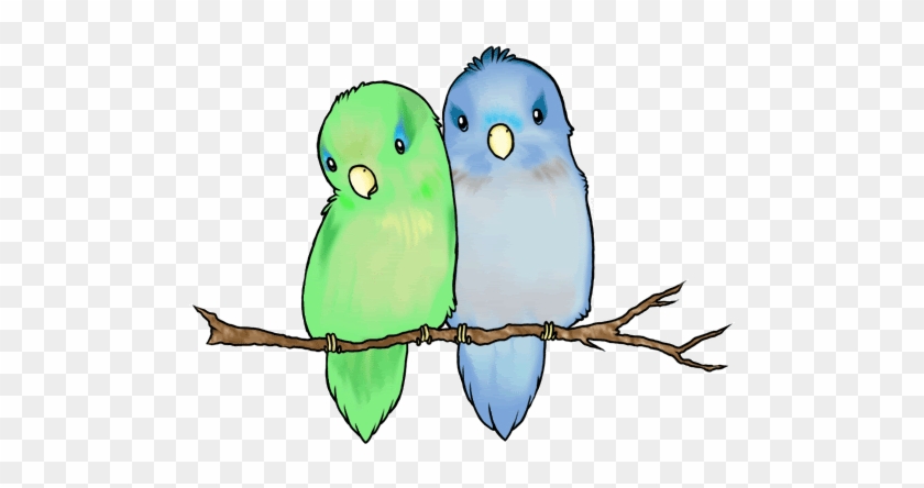 Drawn Lovebird Little Bird - Parrotlet Drawing #1096474