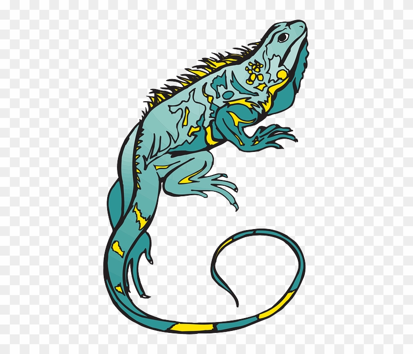 Curled Blue, Yellow, Colors, Chameleon, Reptile, And, - Bunglon Png #1096532