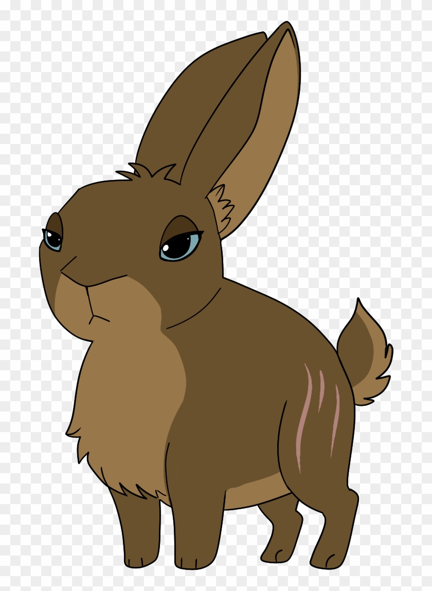 Weird Rabbit - Domestic Rabbit #1096841