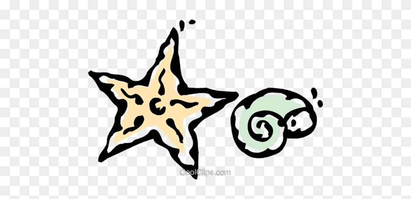 Estrela Do Mar E Conchas Livre De Direitos Vetores - Clip Art #1096880