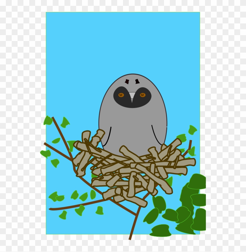 Free Otus - Scops Owl #1097557