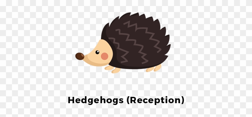 Hedgehogs - Hedgehogpageclass - Hedgehog #1097605