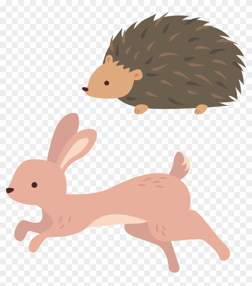 Domestic Rabbit Hedgehog Clip Art - Hare #1097609