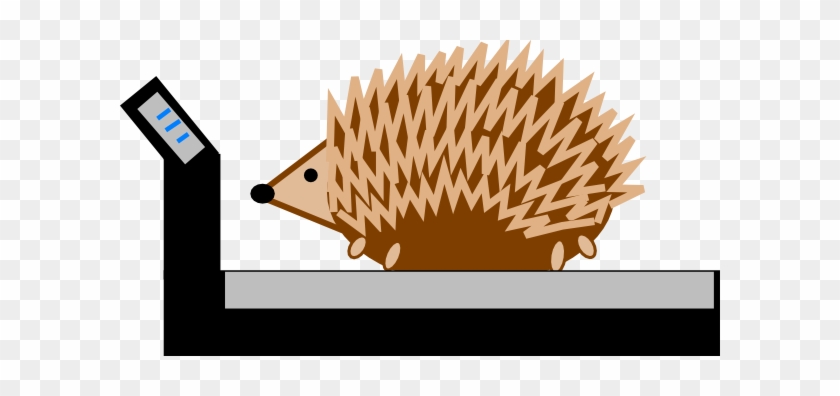 Hedgehog On A Treadmill #1097637