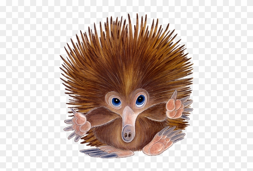 Hedgehogsgraphics Hedgehogs Graphics - Gifs #1097656