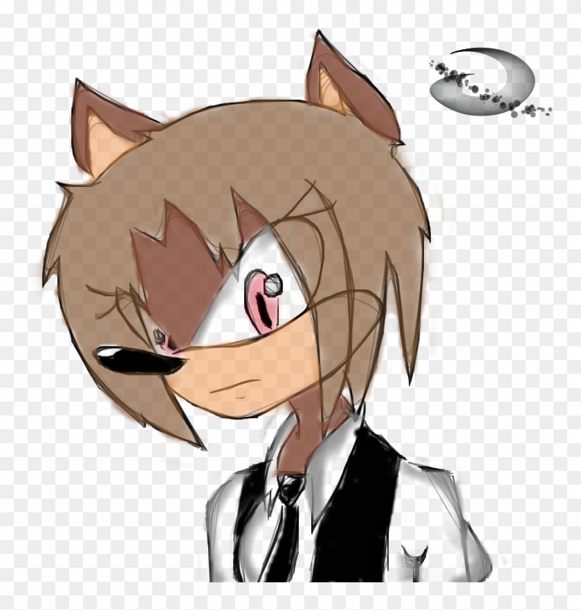 Alyssa The Hedgehog By 200shadowfan - Drawing #1097684