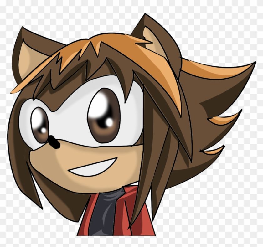Jaden The Hedgehog 1 By Jadenyugi9 - Jaden The Hedgehog #1097744