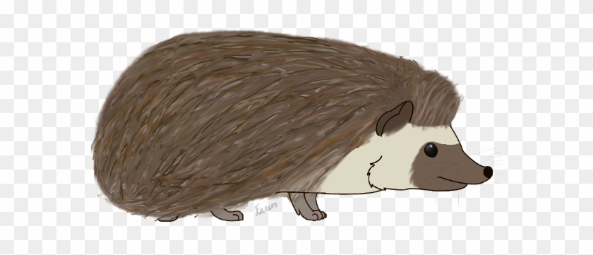 Aslyta 6 1 Hedgehog By Fawnflight - Porcupine #1097754
