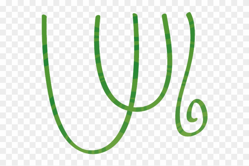 Vines - Jungle Kids Png #1097787