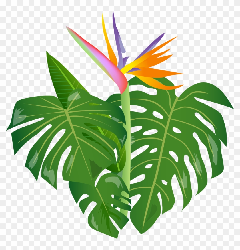 Jungle Leaves - Leaves Jungle 3d Png #1098209