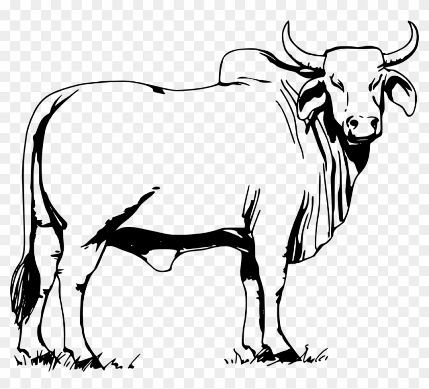 Clip Art Details - Bull Clipart Black And White #1098285