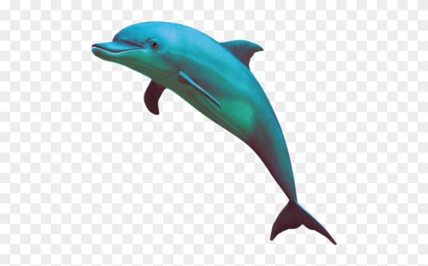 Szukaj W Google - Vaporwave Dolphin #1098485