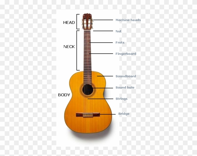 Parts Of The Guitar - Imagenes De La Guitarra Española #1098570