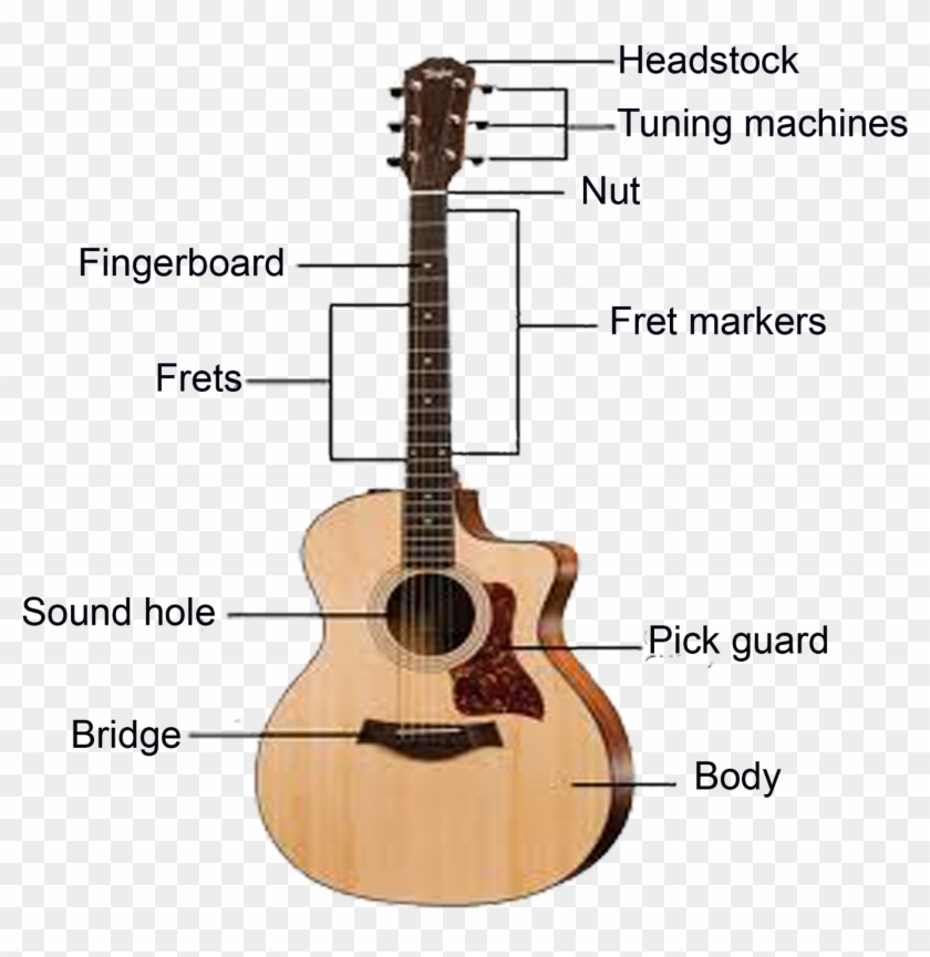 Parts Of A Guitar #1098592