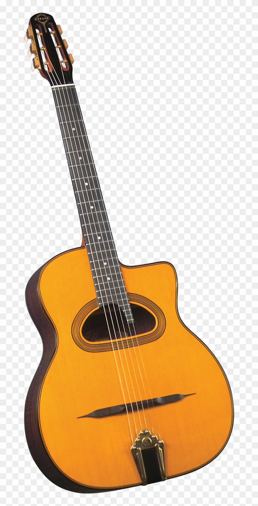 Gitane D-500 Professional Gypsy Jazz Guitar - Gitane D-500 Professional Gypsy Jazz Guitar #1098596