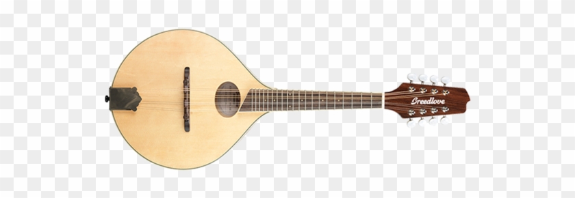 Breedlove Guitars 12 String #1098618
