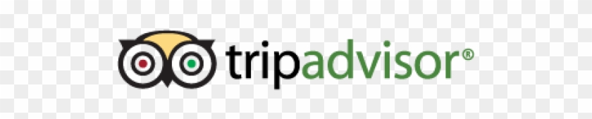 Useful Links - Tripadvisor Logo Vector #1098782