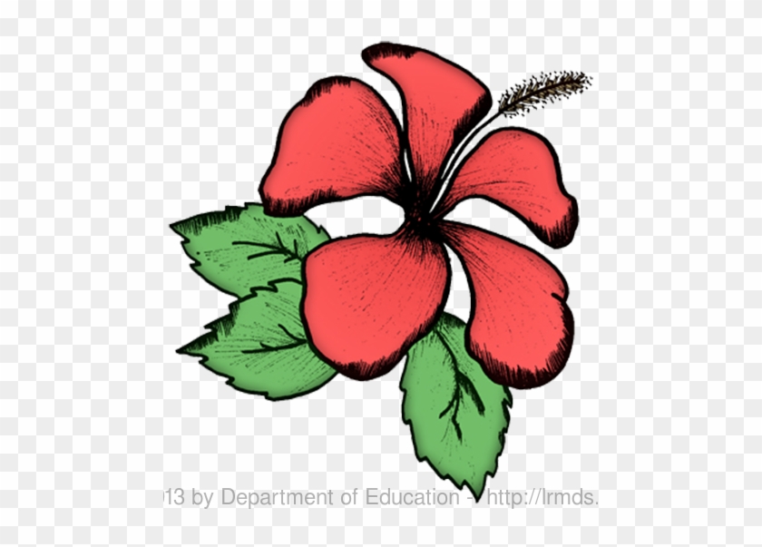 Deped Learning Portal Gumamela Flower Free Transparent Png Clipart